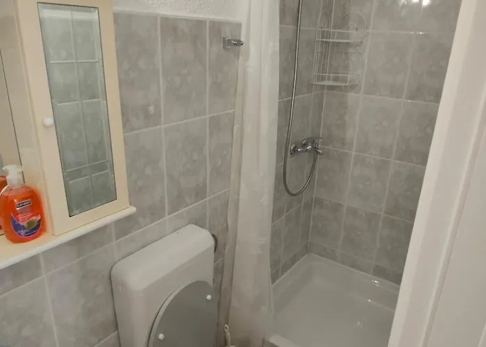 Remi 斯塔利格拉德-帕克利尼卡