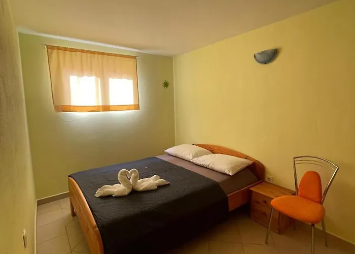 Remi 斯塔利格拉德-帕克利尼卡