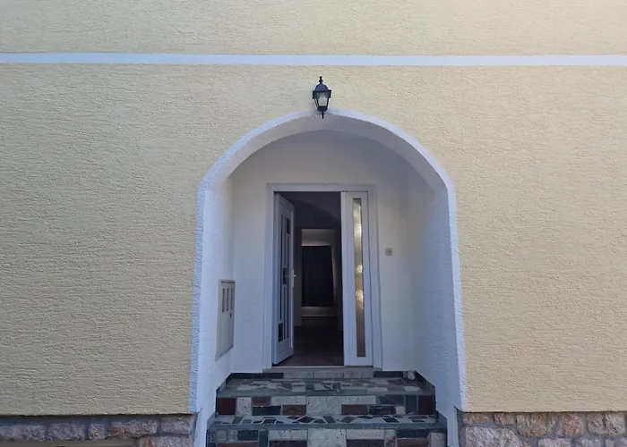 Remi * 斯塔利格拉德-帕克利尼卡